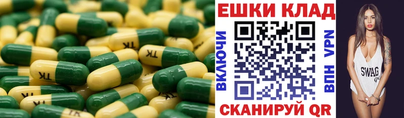 где купить наркоту  Кимры  ЭКСТАЗИ диски 