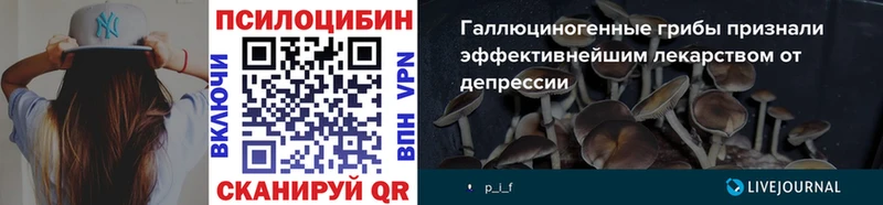магазин  наркотиков  Кимры  Галлюциногенные грибы прущие грибы 